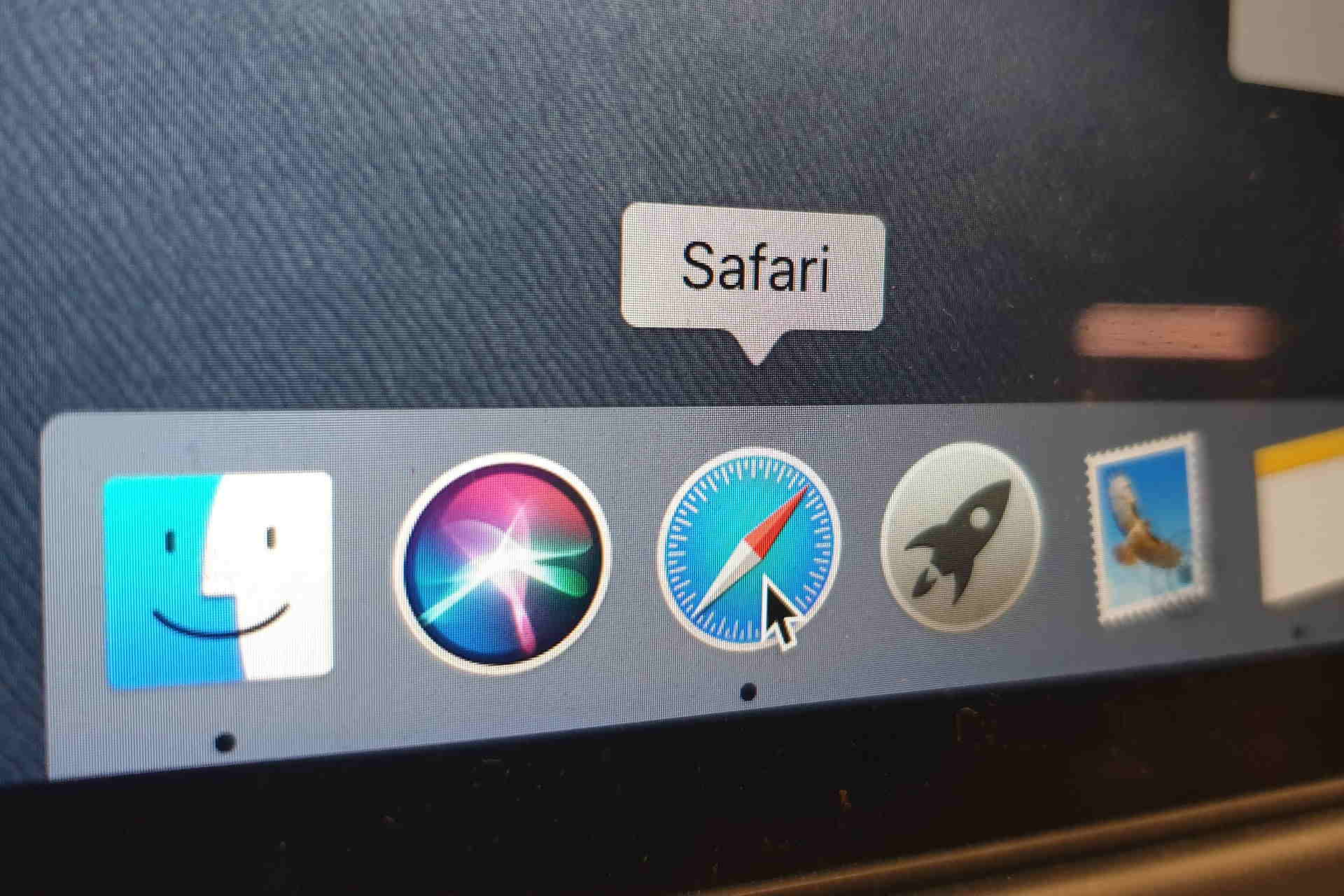 safari download mac